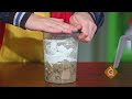 Sedimentary Rock Model DIY With Zoe