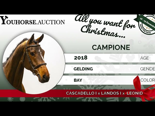 Campione B
