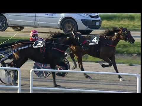 Napoli Trotto 24/03/2023 - 7ª corsa