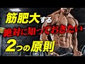 筋肉を効率よく大きくするためのトレーニングの2つの原則【ビーレジェンド プロテイン】