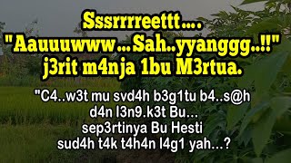 Download lagu inilah keindahan perkebunan ketela pohon yg tampak subur di tepi desa_ kisah nyata_ cerpen romantis mp3