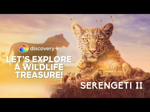 Discover the Fascinating African Wildlife in Serengeti National Park | Serengeti 2| Discovery Plus