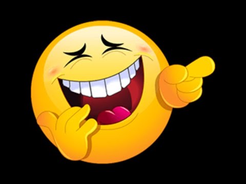 Lustige Vögel auf Stromleitung, witzige Video