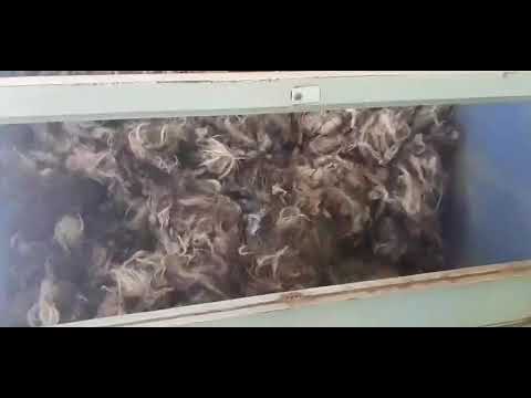 Шерсть овичи 