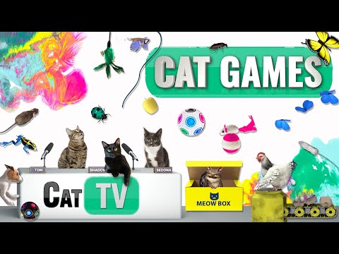 CAT Games | Ultimate Cat TV Compilation Vol 64 | 2 HOURS 🐝🐞🦋🦎🦜🐜🐭🧵