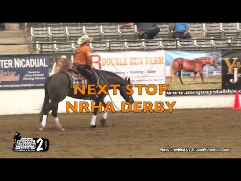 MAGNUMS GUNS R REDDY