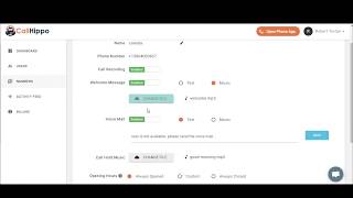 CallHippo video