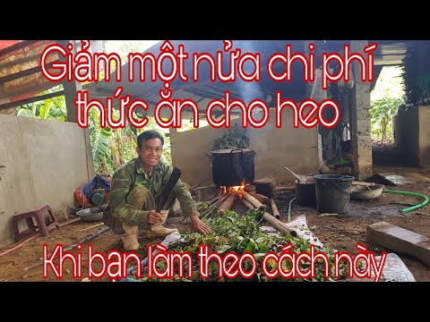 , title : 'Chế biến thức ăn cho heo giá rẻ | mô hình chăn nuôi vốn ít| Hồ Tài 9x'