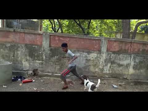 EVO TV: 1EvolutionaryTV