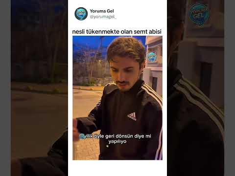 Nesli tükenmekte olan semt abisi