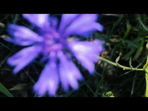 Ozuu & prodby86 - Autentyk @ozuu_u