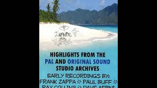 Waltz, by Frank Zappa (written, produced and played all instruments) from Pal Recording CD.