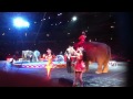 Circus Live 3