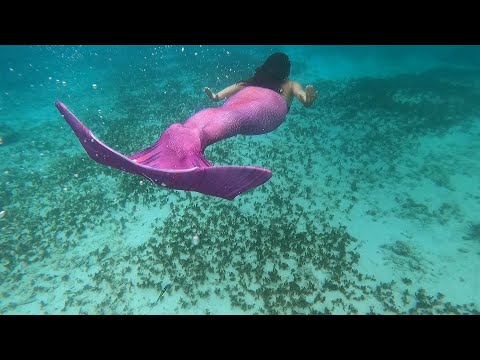 Sereias mergulham em Tulum usando cauda Sirenita Brasil