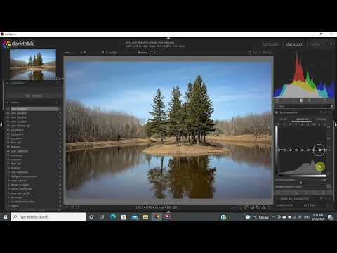 Darktable 9 (Tone equalizer)