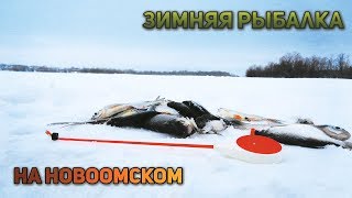 Затон новоомский в омском районе рыбалка