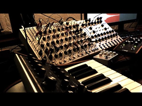 Pulsar-23, Lyra-8 & Drolo Stretch Weaver Ambient Techno