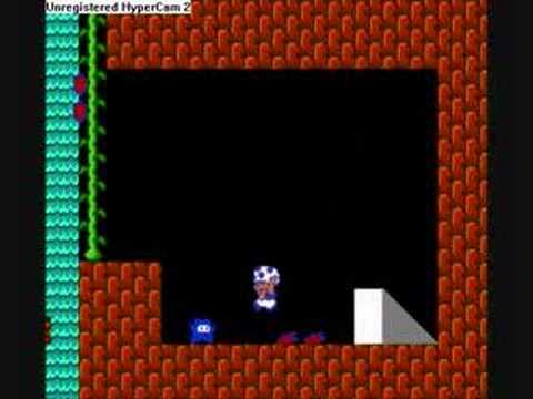 Super Mario Brothers Game Genie Code Effects 2