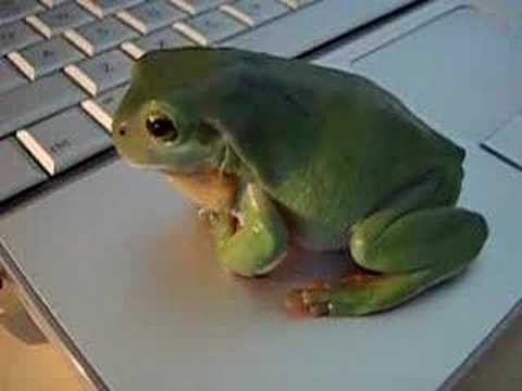 YouTube Video kC7q-Kn3Bmo