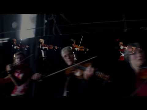 Viola viola  Orchestra