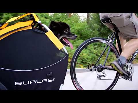 craigslist pet stroller