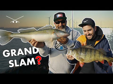 YPC Boat: Gelingt der Trainingsauftakt mit Frédéric Jullian?