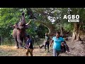 Helping Angry Agbo How Kindness Makes A Difference Episode 06