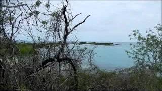 preview picture of video 'Day 3 - Floreana Island & Post Office Bay'