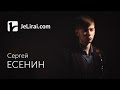 Сергей Есенин "Ты меня не любишь, не жалеешь..." (читает Максим Ильин ...