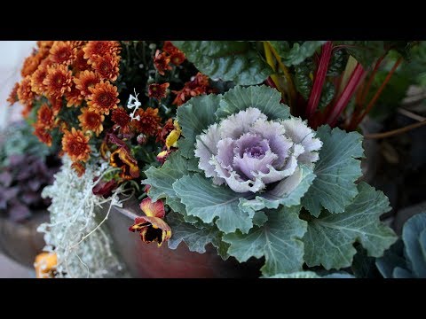 download lagu mp3 mp4 Fall Pots, download lagu Fall Pots gratis, unduh video klip Fall Pots