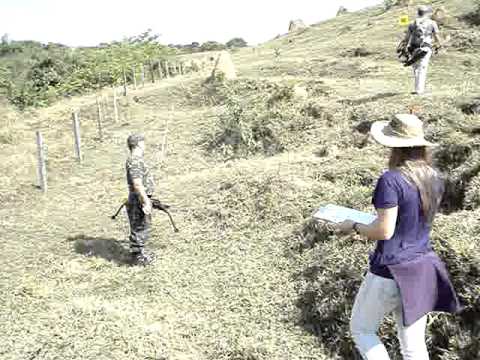 Tiro com arco composto Field Brasil ( Animal Round)