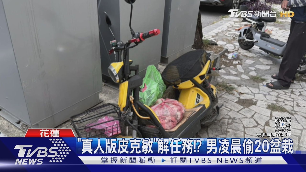 影音/真人版皮克敏!男連偷3車搬盆栽 「解任務」理由超荒謬