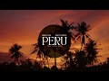 Fireboy DML Peru Peace Control Remix