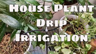 Indoor Self Watering RainPoint Automatic Irrigation System with Pump #RainPoint#MoreThanWaterSaving