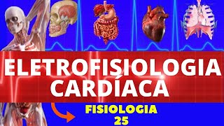 ELETROFISIOLOGIA CARDÍACA - POTENCIAIS DE AÇÃO DO CORAÇÃO - FISIOLOGIA CARDIOVASCULAR