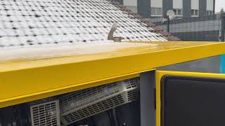 Atlas Copco QES 80 generador de di&eacute;sel | Imagen 4 - Machineryline