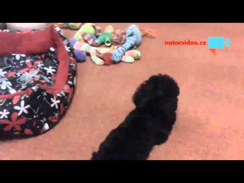 ....to je muj balon!!!!!