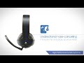 Ausinės Thrustmaster Y-300P PS3 / PS4