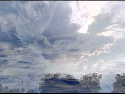 Shauna McStravock - Wild Angels