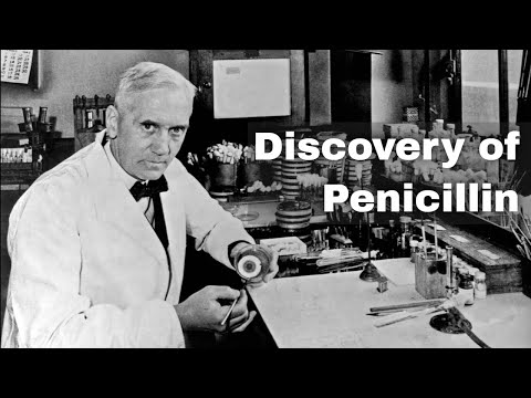 28th September 1928: Alexander Fleming accidentally discovers penicillin