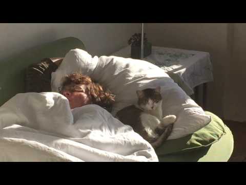 21082016 Katze wacht und Anke schläft