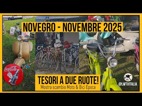 November 2025, Exchange Show: A Treasure Trove of Vintage Motorcycles and Bicycles! 🏍️🚲