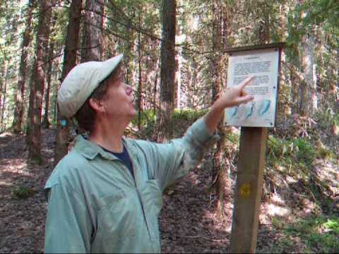 おとうさんのフィンランド語