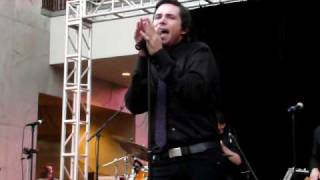 Michael Johns Fools Gold