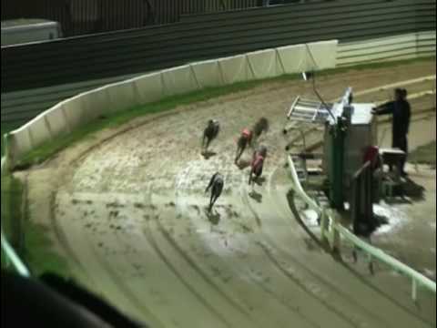 2017 WILLIAM HILL PETERBOROUGH DERBY - HEAT 5 - T3 KOOGA KLAMMER