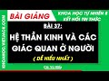 Bài 37. Hệ thần kinh và các giác quan ở người