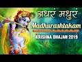 Madhurashtakam मधुराष्टकम् अधरं मधुरं वदनं मधु