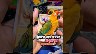 Day 3 of Hunting the Chase Card… #packopenning #pokemoncards #pokemontcg #pokemon #shorts