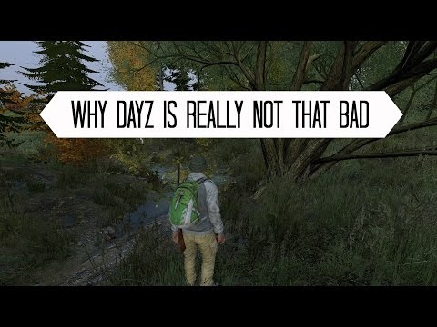 Why DayZ is not that bad