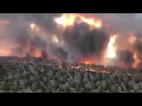 Wild fire in Australia Jungle